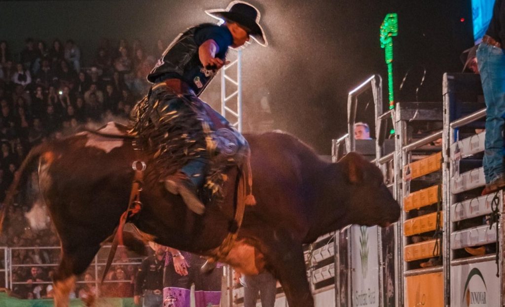 Peão de Crixas, GO, é campeão brasileiro do rodeio da PBR em Barretos, SP, Festa do Peão de Barretos 2023