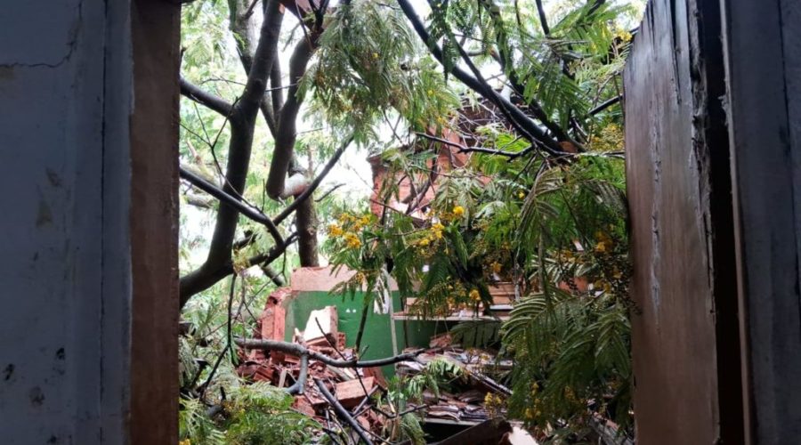 Chuva com muitos raios na noite de segunda para terça-feira assusta  moradores e derruba árvores